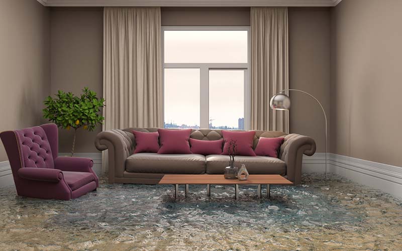 carpet cleaning in NYC, carpet cleaner in NYC, carpet cleaners in NYC, carpet cleaners in NYC, drapery cleaners in NYC, carpet cleaning in NYC, mattress cleaning in NYC, mattress cleaners in NYC, commercial carpet cleaning, commercial carpet cleaners in NYC, NYC rug cleaners, rug cleaning services in NYC same day carpet cleaning, same day rug cleaning